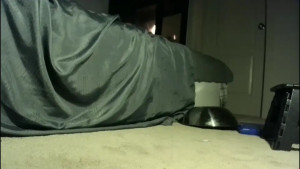 secretlifesecretwife2