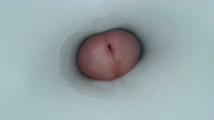 jeffrodgerschaturbat