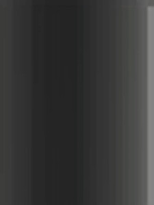 -Estonia-