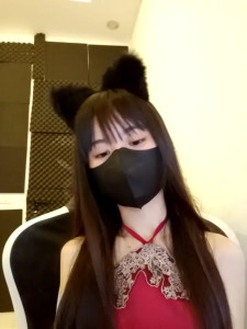 Cat_baby69