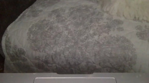 isabellux02