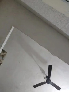 Priya_Strip