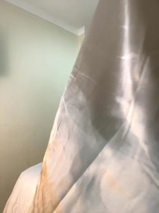 Anita031