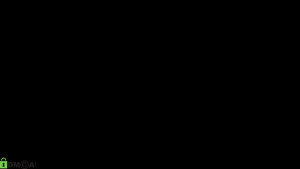 lexi_split