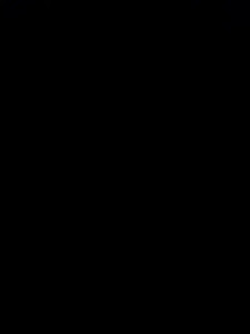 Ravena2290
