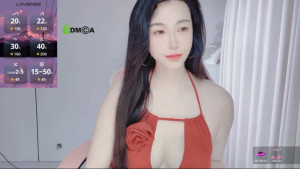 YunShan-33