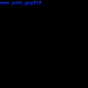 new_york_guy518